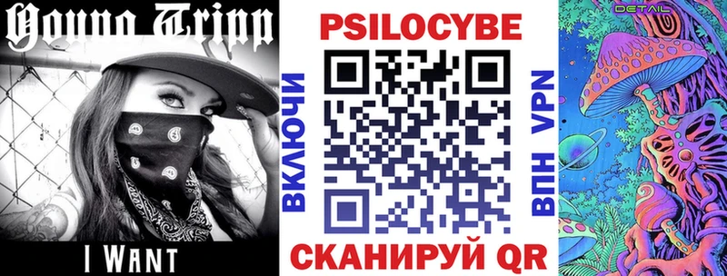 хочу Волгоград Псилоцибиновые грибы мицелий